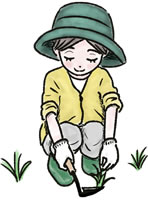 雑草で庭の手入れが大変