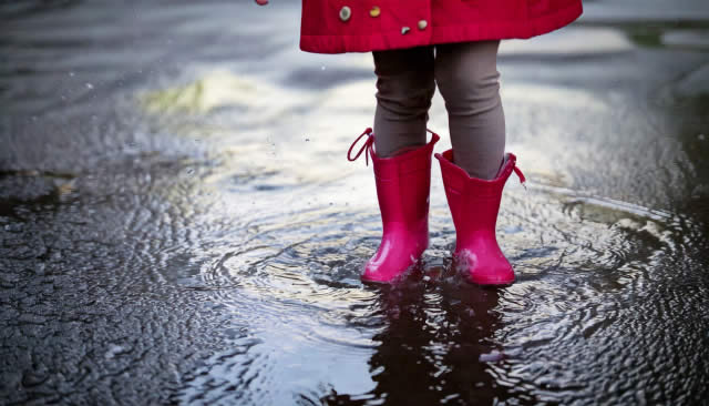集中豪雨・台風に強い庭